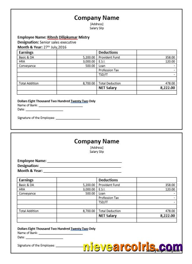 senior sales executive salary slip